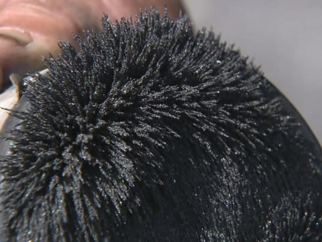 有明海沿岸で集めた砂鉄