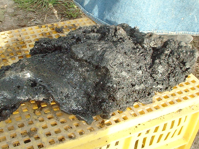 良質の部分が玉鋼となる